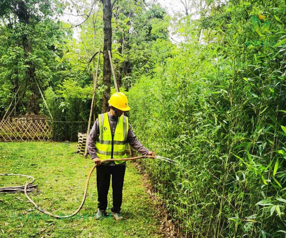 番禺露营基地菲律宾网赌合法平台种植完成后浇水